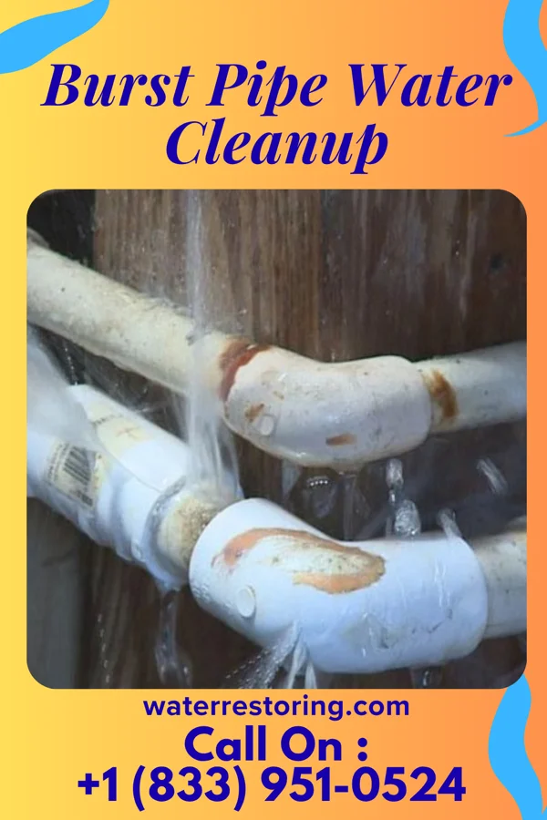 Burst Pipe Water Cleanup in Roy, NM
