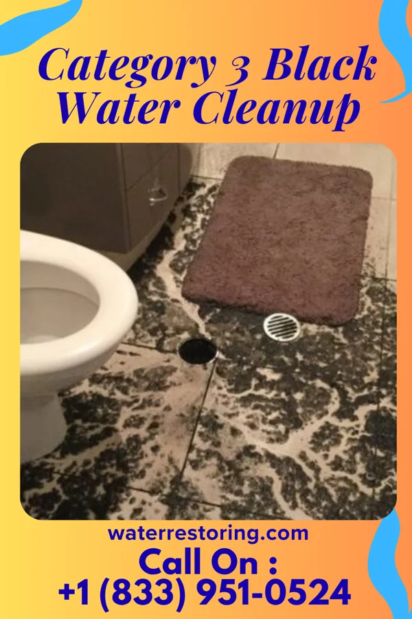 Category 3 Black Water Cleanup in Roy, NM