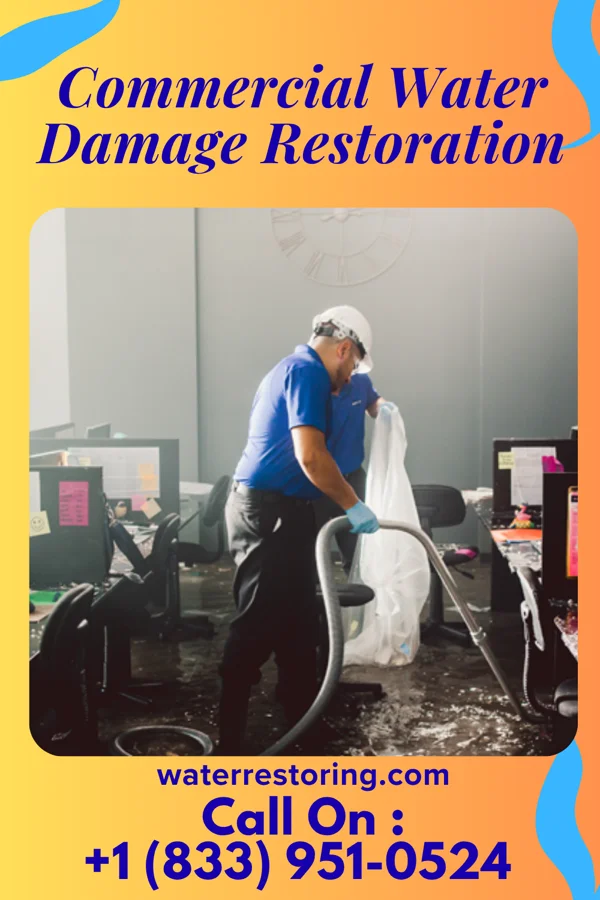Commercial Water Damage Restoration in Roy, NM