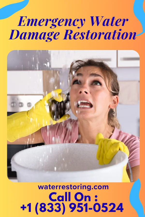 Emergency Water Damage Restoration in Roy, NM