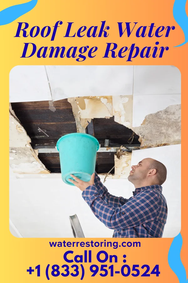 Roof Leak Water Damage Repair in Roy, NM