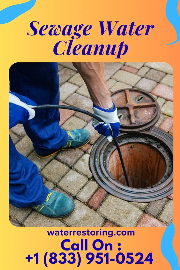 Sewage Water Cleanup in Roy, NM